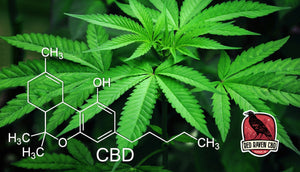 CBD Alaska Red Raven CBD is the premium place in Alaska to buy hemp CBD without visiting a cannabis dispensary. Choose from full spectrum “whole plant” and THC free hemp gummies, topical cream salve and CBD oil tinctures for people & pets. Hemp molecule