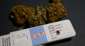 Can you take CBD if you are drug tested for work?