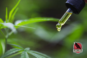 Where Can I Buy High-Quality CBD Products Online?