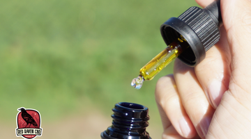 Does CBD Oil Help with Anxiety? We Answer Your FAQs