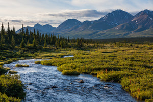 Remote Alaska where it can be difficult to purchase CBD