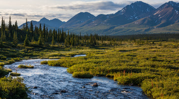 Remote Alaska where it can be difficult to purchase CBD