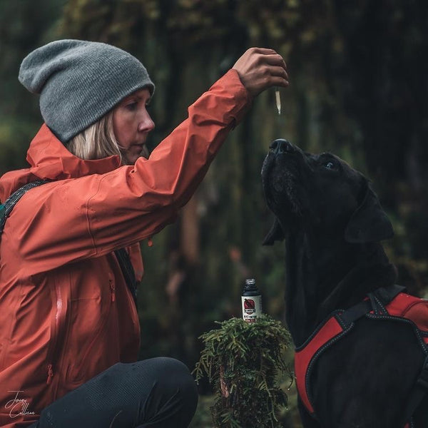 Jeremy Collison Photography - CBD Alaska Red Raven CBD is the premium place in Alaska to buy hemp CBD without visiting a cannabis dispensary. Choose from full spectrum “whole plant” and THC free hemp gummies, topical cream salve and CBD oil tinctures for people & pets. Buy hemp online